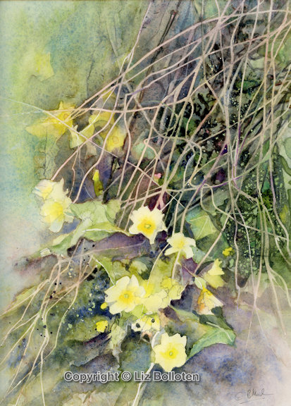 Emerging Primroses