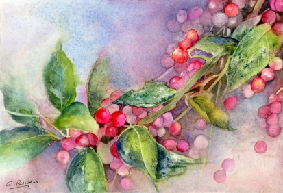 Holly Feast For The Redwings