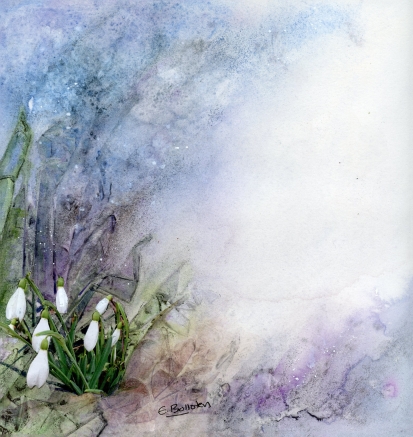 Ice Wind And Snowdrops