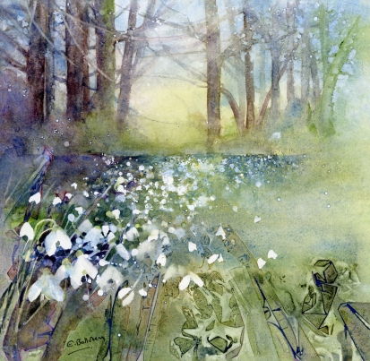 Snowdrop Field